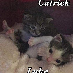 Thumbnail photo of Catrick Swayze #1