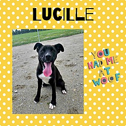 Photo of Lucille