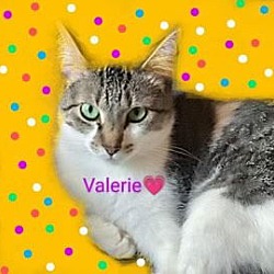 Thumbnail photo of Valerie #2