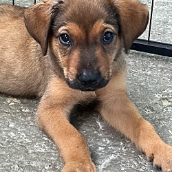 Photo of Wrigley