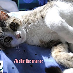 Thumbnail photo of Adrienne - Big Beautiful Eyes! #3