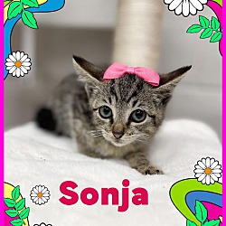 Photo of Sonja
