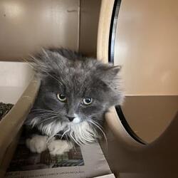 Jackson/Teton County Animal Shelter in Jackson, Wyoming