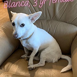 Thumbnail photo of Blanca #1