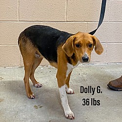 Photo of Dolly G.