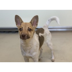Photo of KIPPY