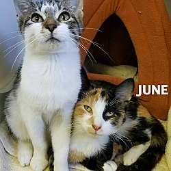Thumbnail photo of June & Kiwi #1