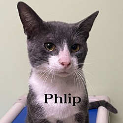 Photo of Phlip