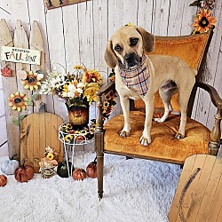 Photo of Ken