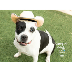 Photo of Cowgirl