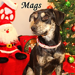Thumbnail photo of Mags~adopted! #3