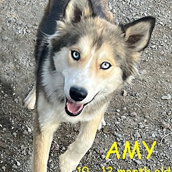 Photo of AMY