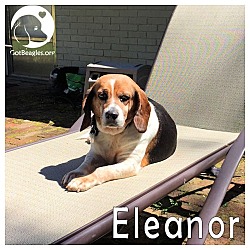 Thumbnail photo of Eleanor #1