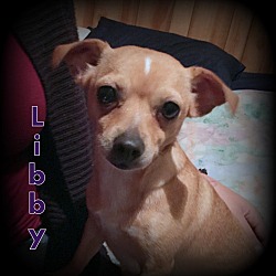 Thumbnail photo of Libby #3