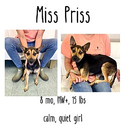 Photo of Miss Priss