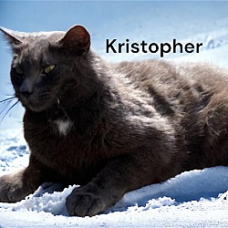 Thumbnail photo of Kristopher #3
