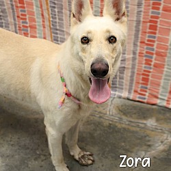 Photo of Zora