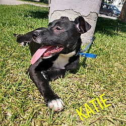 Thumbnail photo of Katie #2