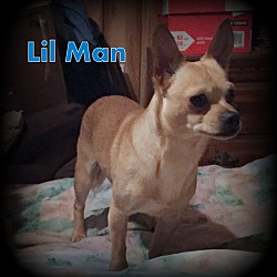 Thumbnail photo of Lil Man #3