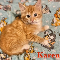 Thumbnail photo of Karen #3