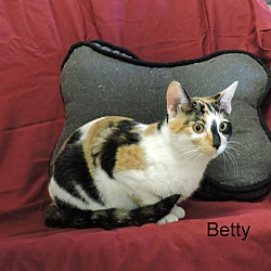 Thumbnail photo of Betty #4