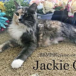 Thumbnail photo of Jackie O #2