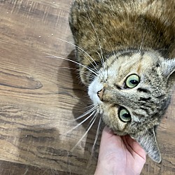 Thumbnail photo of Blossom #3