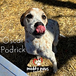 Thumbnail photo of Oscar #2