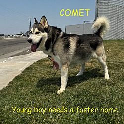 Photo of COMET