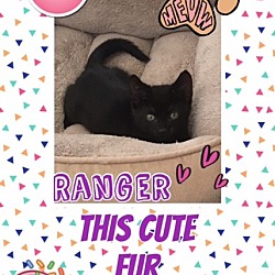 Thumbnail photo of Ranger #2