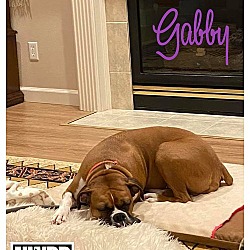 Thumbnail photo of Gabby #4