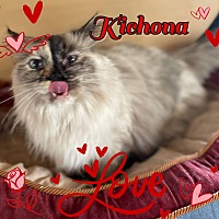 Photo of Kichona