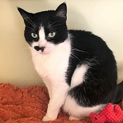 Photo of Bingo