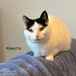 Thumbnail photo of Keesha #2