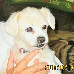 Photo of Angel Beth*Adopted