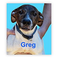 Photo of Greg
