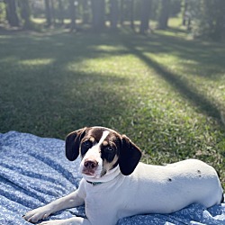 Photo of Dina