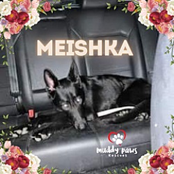 Thumbnail photo of Meishka (Courtesy Post) #2