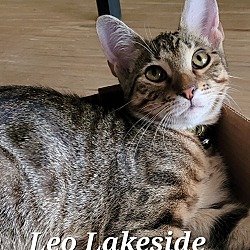 Photo of Leo Lakeside