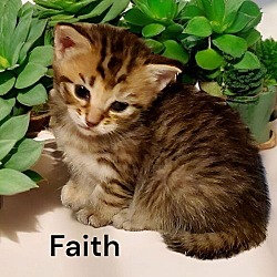 Thumbnail photo of Faith #2