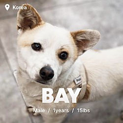 Thumbnail photo of Bay #1
