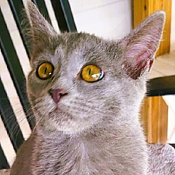 Photo of Natasha