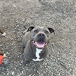 Photo of Chico