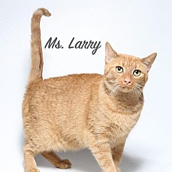Photo of Ms Larry