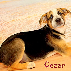 Thumbnail photo of Cezar ~ meet me! #2