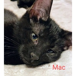 Thumbnail photo of Mac #2