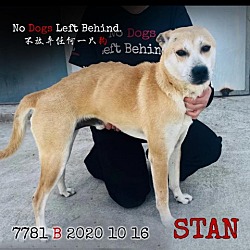 Photo of Stan 7781