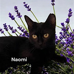 Thumbnail photo of Naomi #2