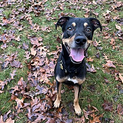 Oscar *courtesy post*