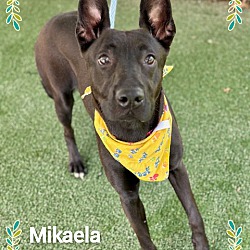 Thumbnail photo of MIKAELA #1